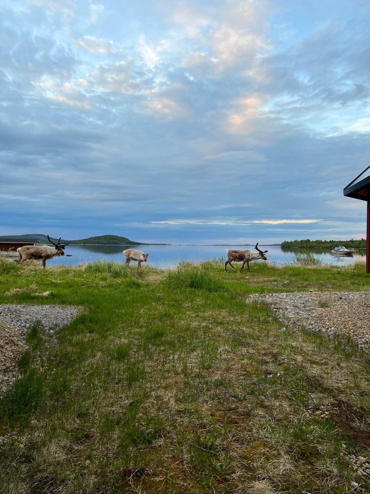 Holiday Village Inari Exterior foto